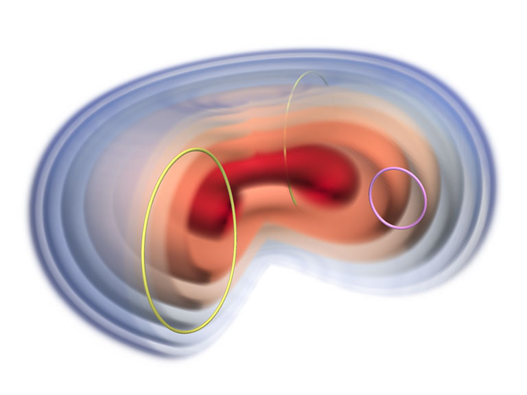 Magnetized neutron star